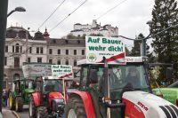 Bild öffnen