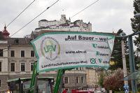 Bild öffnen