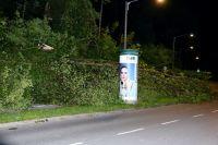 Bild öffnen