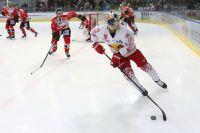 Bild öffnen