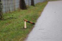 Bild öffnen