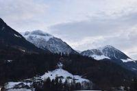 Bild öffnen