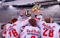 Bild öffnen