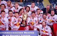 Bild öffnen