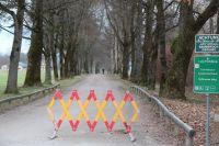 Bild öffnen