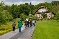 Bild öffnen