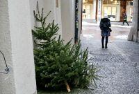 Bild öffnen