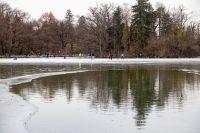 Bild öffnen