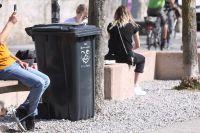 Bild öffnen