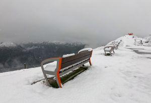 Bericht öffnen