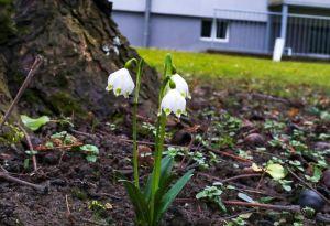 Bericht öffnen Bericht öffnen