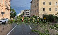 Bild öffnen