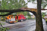 Bild öffnen