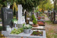 Bild öffnen Bild öffnen