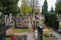 Bild öffnen Bild öffnen