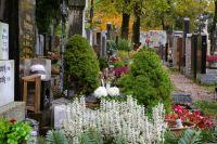 Bild öffnen Bild öffnen