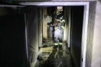 Bild öffnen Bild öffnen