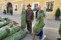 Bild öffnen Bild öffnen