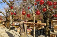 Bild öffnen Bild öffnen