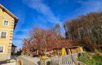 Bild öffnen Bild öffnen