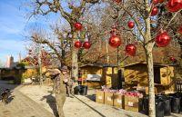 Bild öffnen Bild öffnen