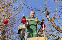 Bild öffnen Bild öffnen