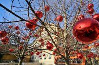 Bild öffnen Bild öffnen