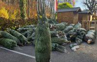 Bild öffnen Bild öffnen