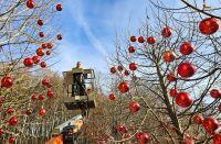 Bild öffnen Bild öffnen