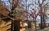 Bild öffnen Bild öffnen