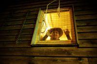 Bild öffnen Bild öffnen