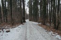 Bild öffnen Bild öffnen