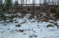 Bild öffnen Bild öffnen