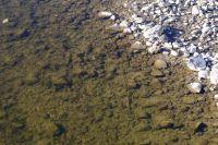 Bild öffnen Bild öffnen