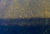 Bild öffnen Bild öffnen