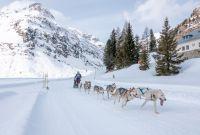 Bild öffnen Bild öffnen