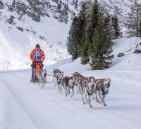 Bild öffnen Bild öffnen