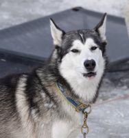 Bild öffnen Bild öffnen