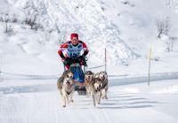 Bild öffnen Bild öffnen