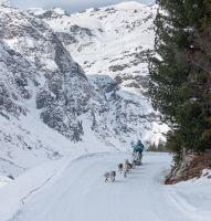 Bild öffnen Bild öffnen