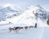 Bild öffnen Bild öffnen