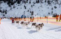 Bild öffnen Bild öffnen