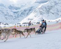 Bild öffnen Bild öffnen