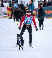 Bild öffnen Bild öffnen