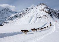 Bild öffnen Bild öffnen