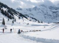 Bild öffnen Bild öffnen