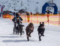 Bild öffnen Bild öffnen