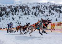 Bild öffnen Bild öffnen