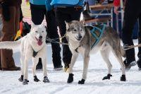 Bild öffnen Bild öffnen