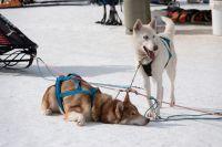 Bild öffnen Bild öffnen